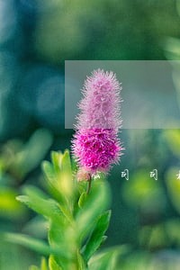 公司司机弃车回家违法吗 公司司机弃车回家违法吗