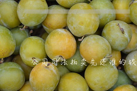 公司司法拍卖先还谁的钱