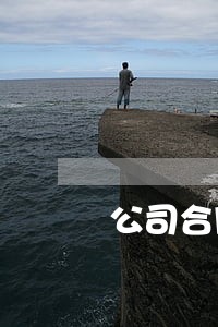公司合同律师电话咨询优质服务 公司合同律师电话咨询优质服务