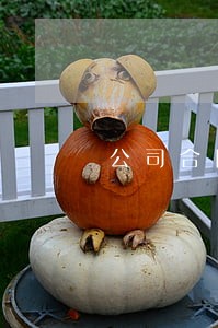 公司合同管理法律风险及防范策略 公司合同管理法律风险及防范策略