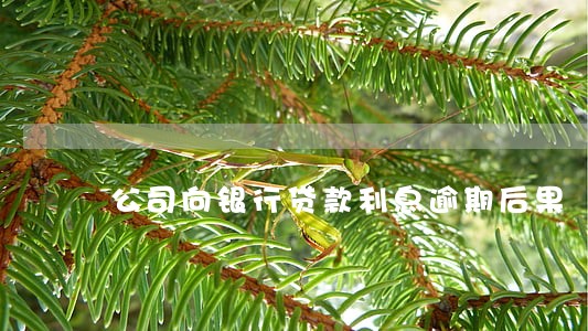 公司向银行贷款利息逾期后果 公司向银行贷款利息逾期后果