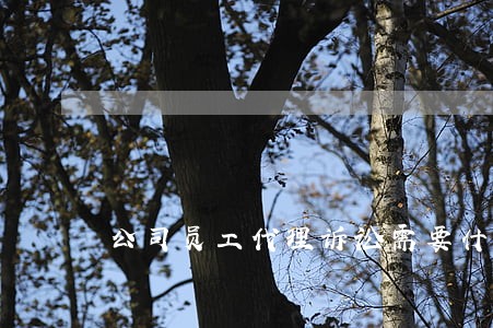 公司员工代理诉讼需要什么证明 公司员工代理诉讼需要什么证明
