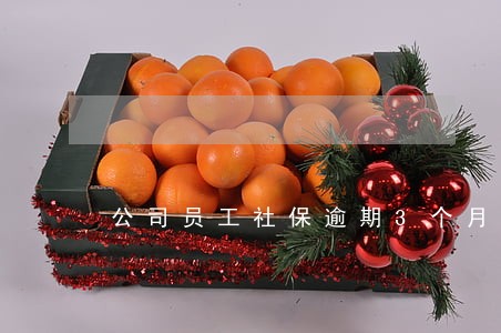 公司员工社保逾期3个月未缴纳 公司员工社保逾期3个月未缴纳