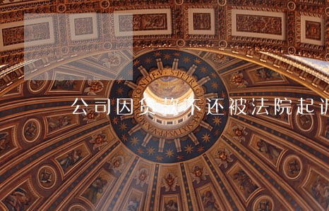公司因贷款不还被法院起诉 公司因贷款不还被法院起诉