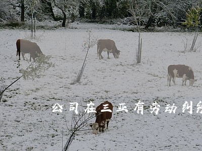 公司在三亚有劳动纠纷需要请律师 公司在三亚有劳动纠纷需要请律师