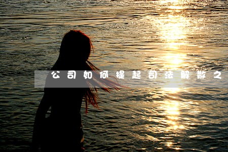 公司如何提起司法解散之诉 公司如何提起司法解散之诉