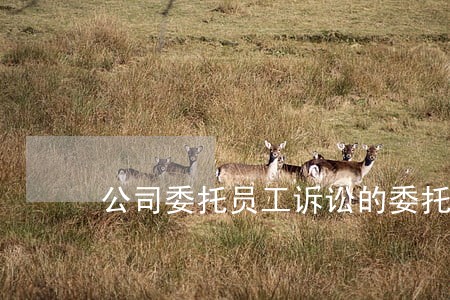 公司委托员工诉讼的委托书 公司委托员工诉讼的委托书