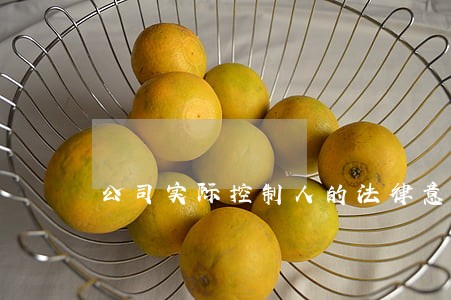 公司实际控制人的法律意见书 公司实际控制人的法律意见书