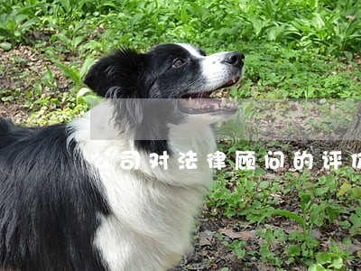 公司对法律顾问的评价 公司对法律顾问的评价