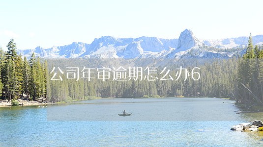 公司年审逾期怎么办6 公司年审逾期怎么办6
