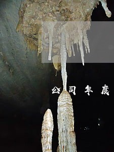 公司年度申报逾期3天有影响么