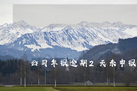 公司年报逾期2天未申报会怎么样 公司年报逾期2天未申报会怎么样