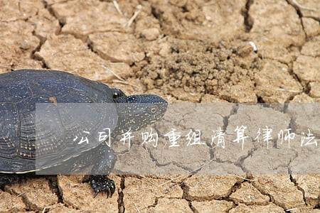 公司并购重组清算律师法律服务 公司并购重组清算律师法律服务