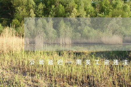 公司延迟一周发工资违法吗 公司延迟一周发工资违法吗