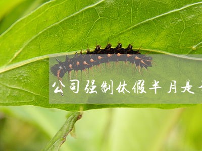公司强制休假半月是否违法 公司强制休假半月是否违法