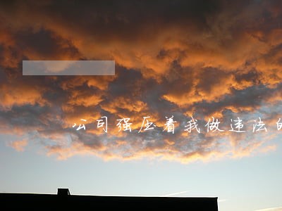 公司强压着我做违法的事情 公司强压着我做违法的事情