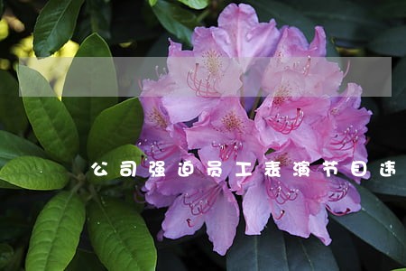 公司强迫员工表演节目违法吗 公司强迫员工表演节目违法吗