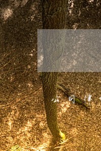 公司律师证是什么意思 公司律师证是什么意思