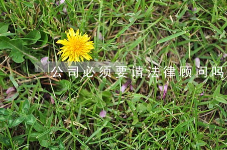 公司必须要请法律顾问吗 公司必须要请法律顾问吗