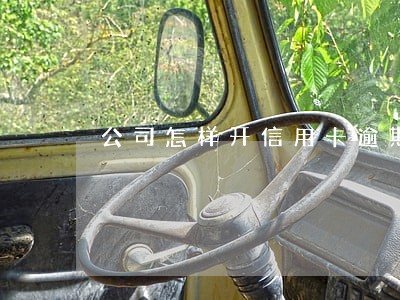 公司怎样开信用卡逾期证明 公司怎样开信用卡逾期证明