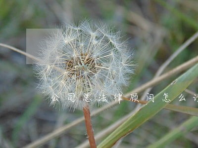 公司总法律顾问怎么请 公司总法律顾问怎么请