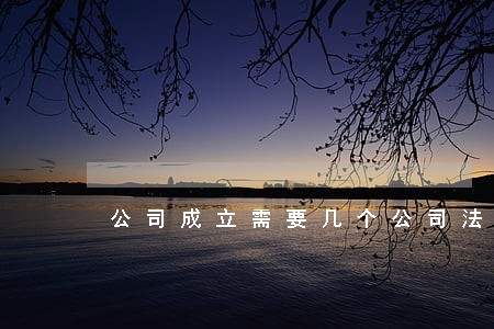 公司成立需要几个公司法人