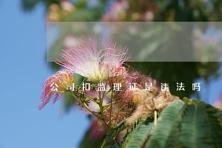 公司扣监理证是违法吗 公司扣监理证是违法吗