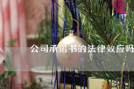 公司承诺书的法律效应吗相关问答 公司承诺书的法律效应吗相关问答
