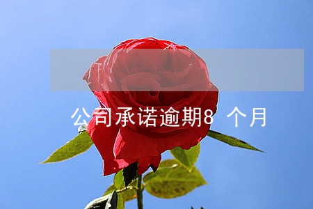 公司承诺逾期8个月 公司承诺逾期8个月