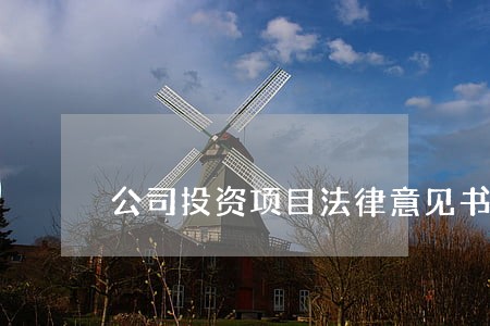 公司投资项目法律意见书