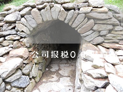 公司报税0申报逾期怎么办