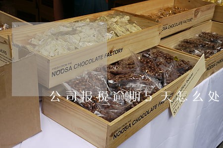 公司报税逾期5天怎么处理 公司报税逾期5天怎么处理