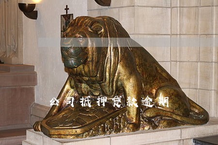 公司抵押贷款逾期 公司抵押贷款逾期