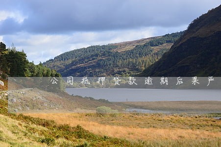公司抵押贷款逾期后果严重 公司抵押贷款逾期后果严重