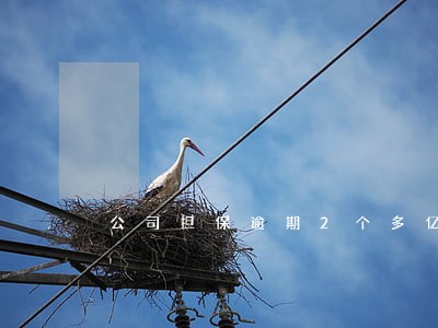 公司担保逾期2个多亿什么意思 公司担保逾期2个多亿什么意思