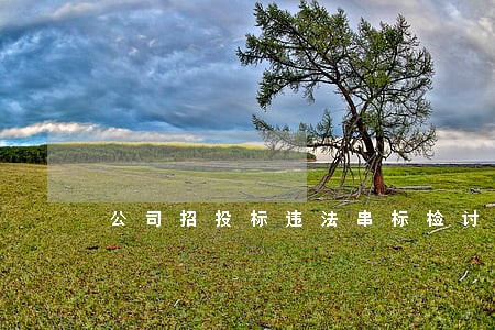 公司招投标违法串标检讨 公司招投标违法串标检讨