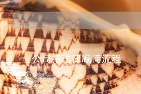 公司招法律顾问流程 公司招法律顾问流程