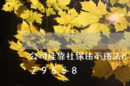 公司挂靠社保违不违法/2023013129658