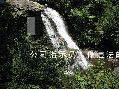 公司指示员工做违法的事情