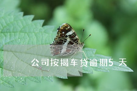 公司按揭车贷逾期5天 公司按揭车贷逾期5天