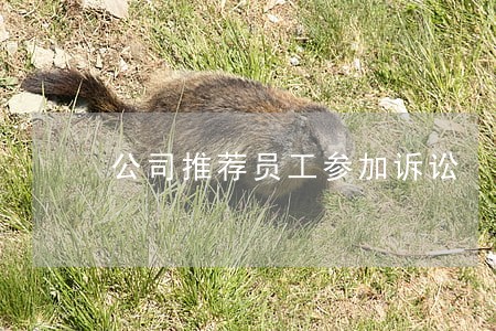 公司推荐员工参加诉讼 公司推荐员工参加诉讼