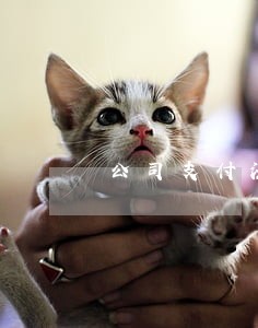 公司支付法院诉讼费计入 公司支付法院诉讼费计入