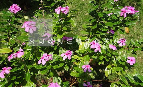 公司改制注销法律关系 公司改制注销法律关系