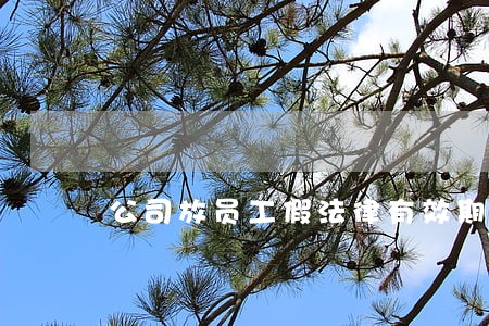 公司放员工假法律有效期多长 公司放员工假法律有效期多长