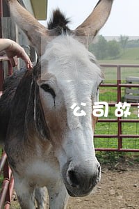 公司故意制造条例除名员工怎么办 公司故意制造条例除名员工怎么办