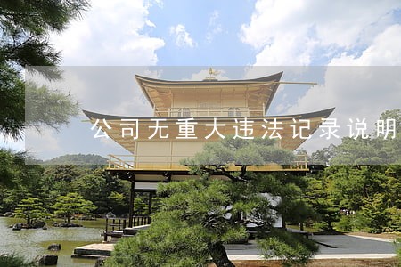 公司无重大违法记录说明 公司无重大违法记录说明