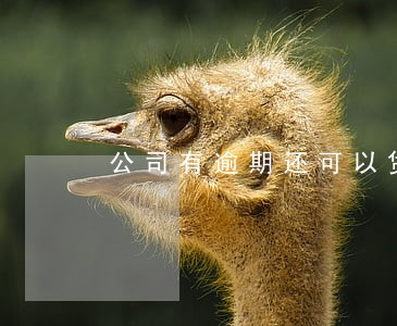 公司有逾期还可以贷款吗 公司有逾期还可以贷款吗