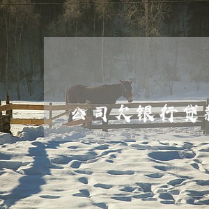 公司欠银行贷款逾期了