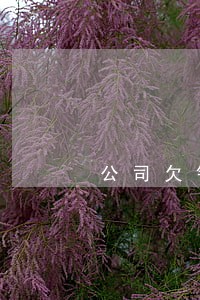 公司欠银行钱逾期谁承担 公司欠银行钱逾期谁承担