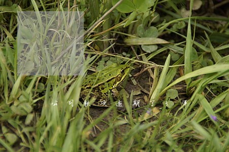 公司款项逾期了3年 公司款项逾期了3年